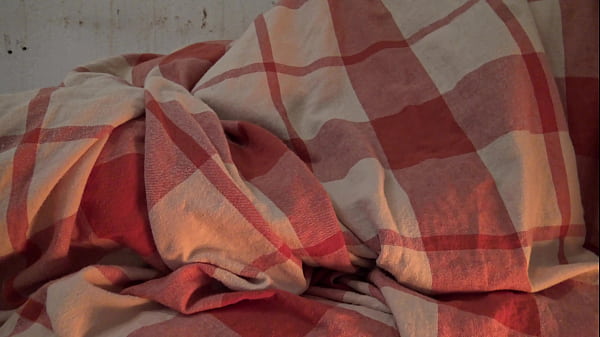 German Family · XNXX.com.se Free Porn Online! 3GP MP4 Mobile Sex XXX Porno Videos!