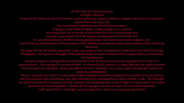 step-Dad Wails When he Cums in step-Mom