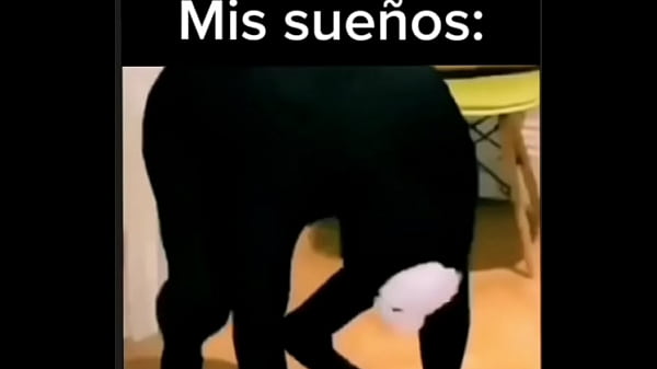 Vídeo