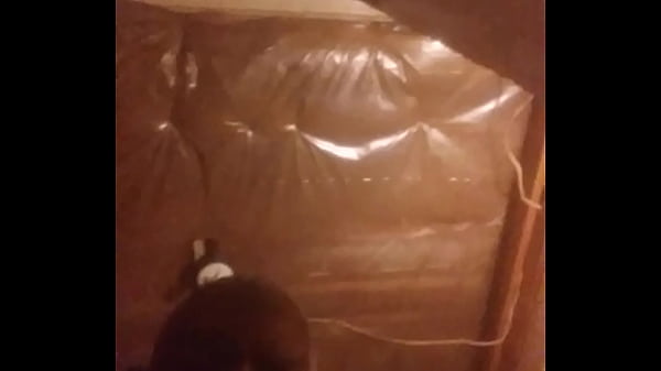 brad and Mel slave training how to deepthroat Thumbnail