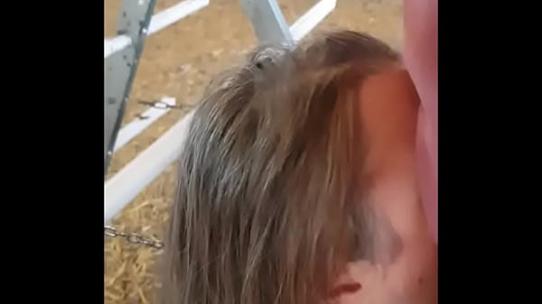 Esclave F souillée et humiliée dans un poulailler 30 octobre 2023