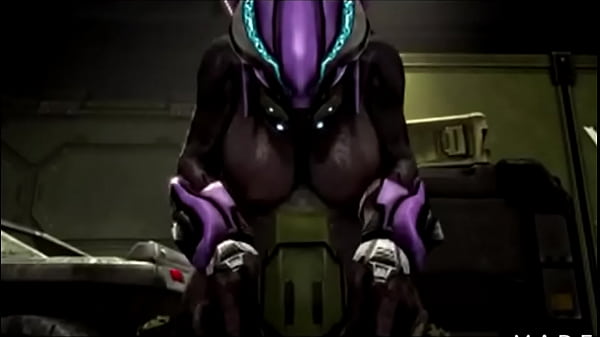 Halo elite porra