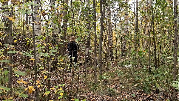forest porn