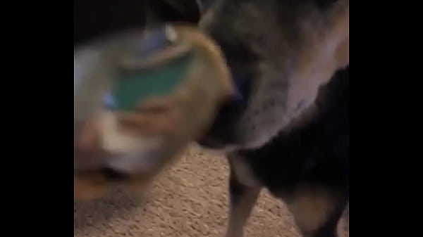 Eating nuts off spoon Thumbnail