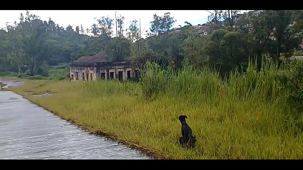 Vídeo