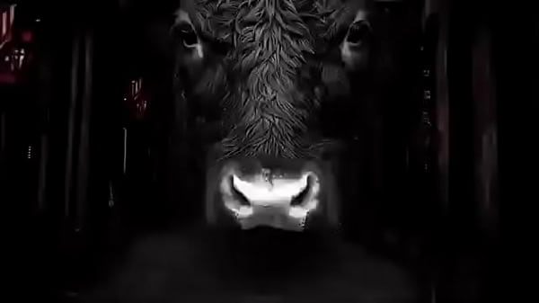 Bitch Arai packs sales 0 Thumbnail