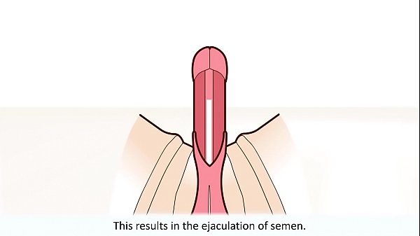 Male Orgasim Video
