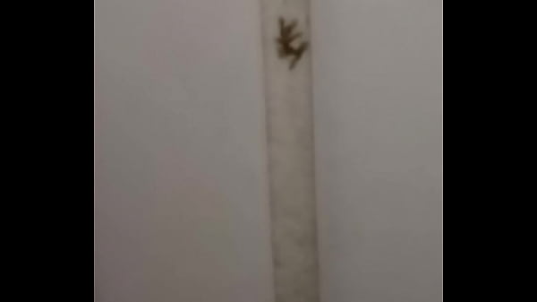 Formiga Safada dando pro bonde todo