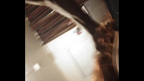 GATOR XXX AND VANILLA Thumbnail