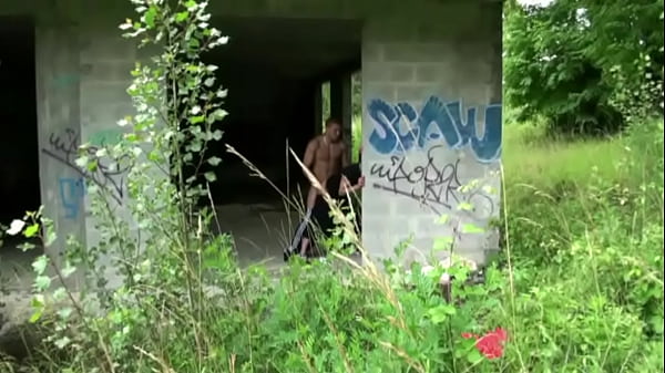 Vídeo