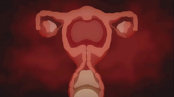 Compilation animation