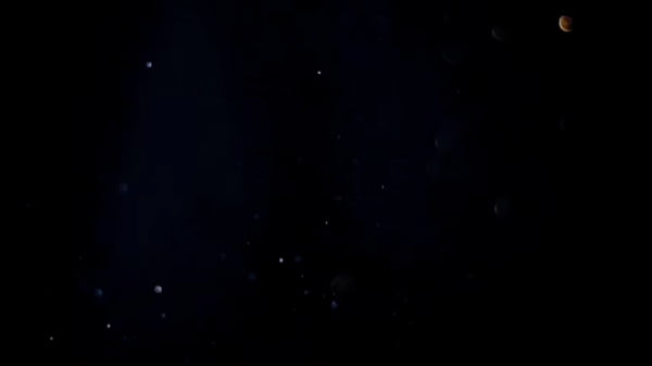 Homem pauzudo fodendo MILF de clitóris grande