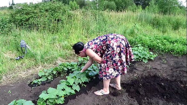 Mature housewife masturbates with a cucumber in the garden outdoors. She leaves the vegetable inside her pussy and goes home. Amateur fetish. PAWG.