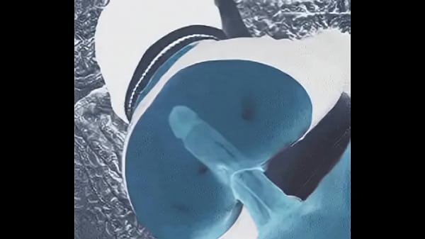 X-Ray-ishDoggyStyle POV -OMG so HOT!!!