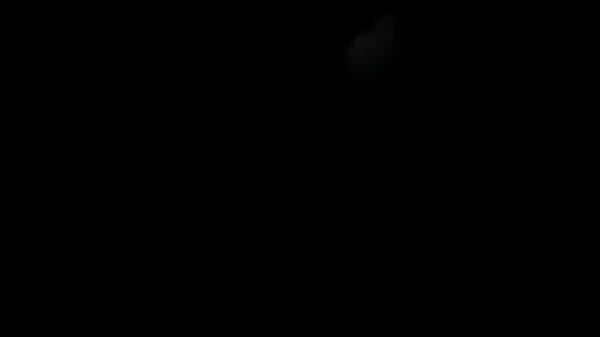 Vídeo