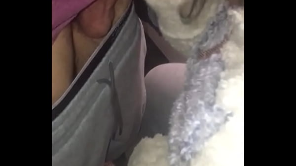 Hot blowjob Thumbnail