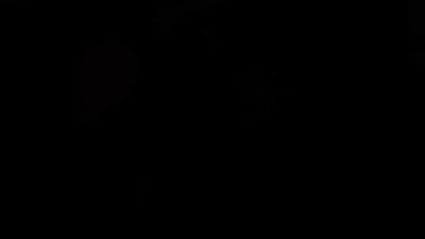 Longe Na universidade