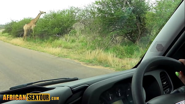 African teen with ebony big ass enjoyed rough sex during safari with friend