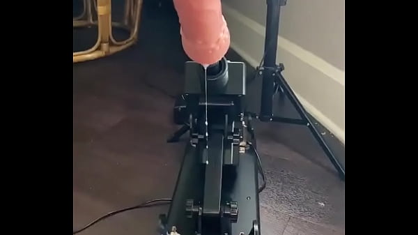 My neighbor's new toy Thumbnail
