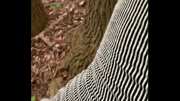 We got caught in the forest as she begged for n word dick