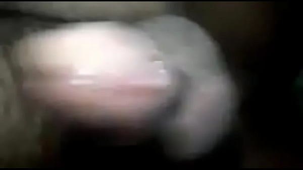 Leitada do Urso Casado