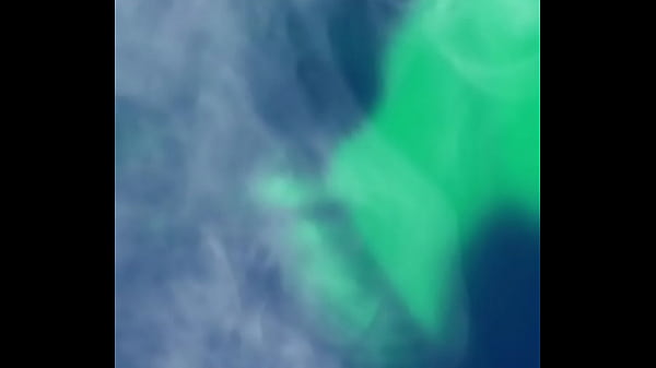 Homemade blowjobs Thumbnail