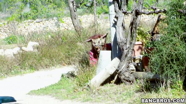 Little Red Riding Slut