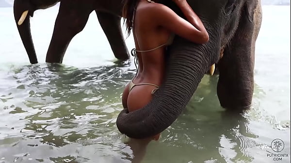 Putri Cinta in 'Tourist in Phuket'