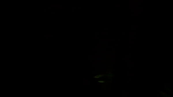 moaning moaning Thumbnail