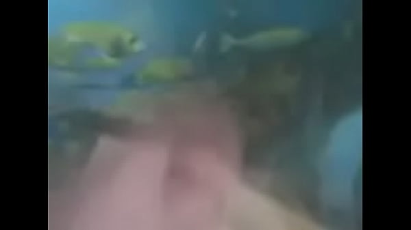Vídeo