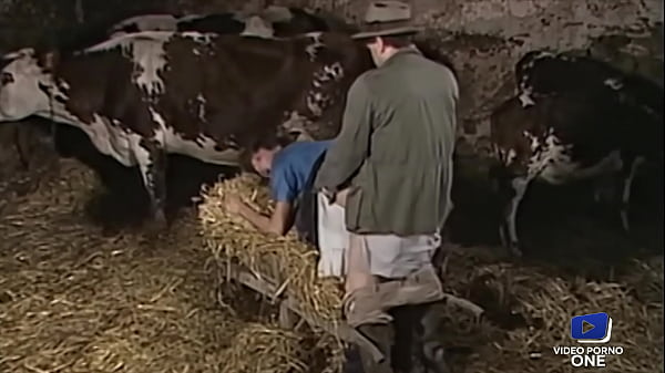 Ces salopes aiment se faire défoncer dans la paille