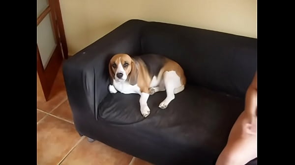 Vídeo
