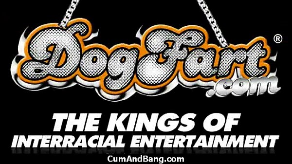 Black Chick Blows Group of White Cocks