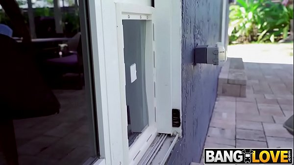 Doggy Style at The Doggie Door Jocelyn Stone
