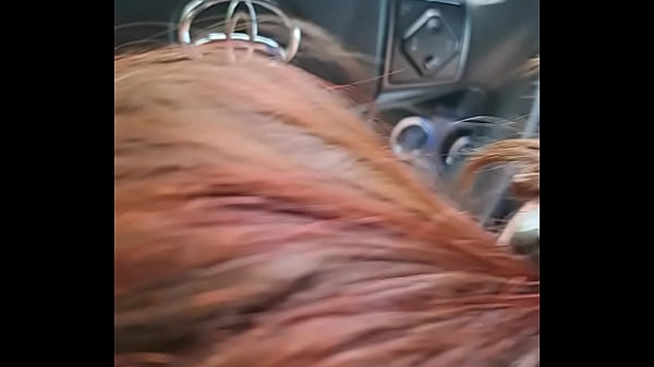 She suck my dick in my car