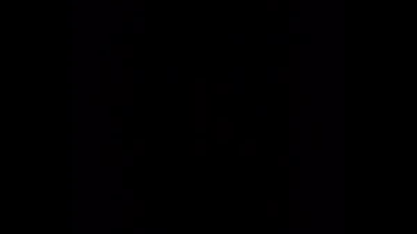 I had really missed fucking her bushy pussy..