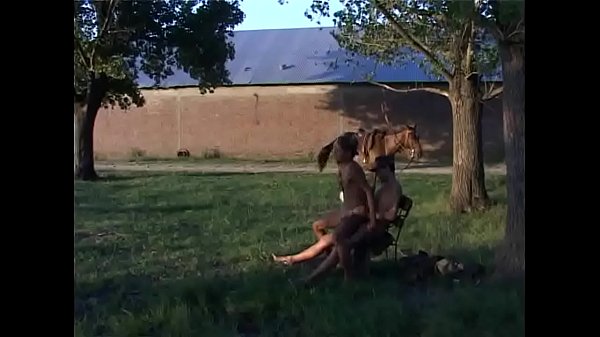 Vídeo