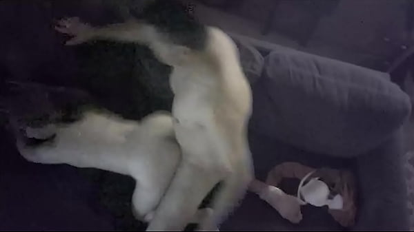 Girlfriend Tia ( ) kept flirting, she bet me I could not show proof.