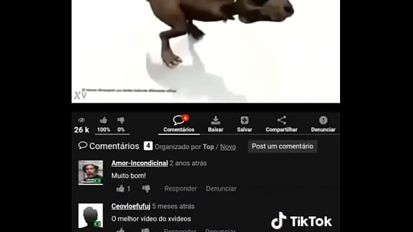 young man challenges his cousins Thumbnail