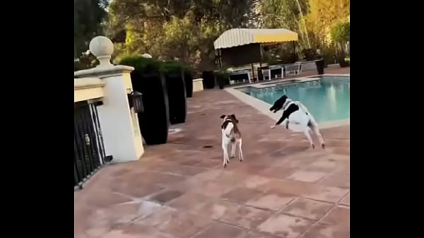 Looking for girls to. Shoot Halloween stuff at this house Friday night! My friend is leaving the country for a month and ... Thumbnail