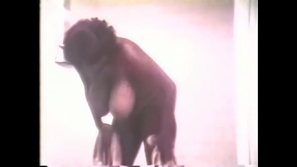 Vídeo