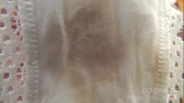 犬嗅ぎ乳娘2　納豆臭い巨乳編⑥　染みパンツとマンカス 編（フェ血ス）