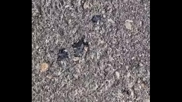 In the car... Thumbnail