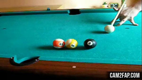 Hardcore Free Asian BBW Porn Video Thumbnail