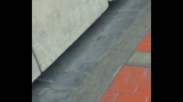 culaso por la calle shemale [ Duration: 00:44 ]