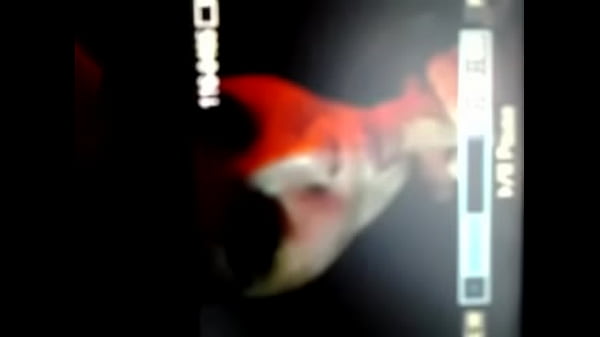 vain ex wife proud to suck a dick on cam Thumbnail