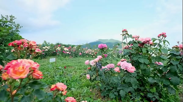 My college friend fucked me. Thumbnail