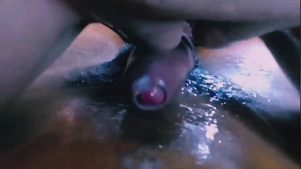 Gorda buceta gorda bombeia meu pau