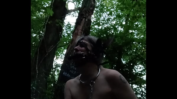 2024 09 04 Escrava F, a garota pônei na floresta