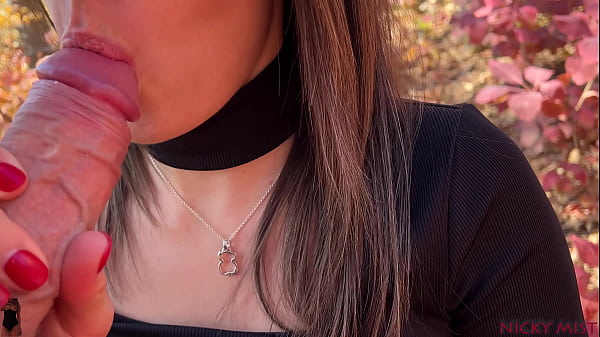 A quick outdoor blowjob with stepsister